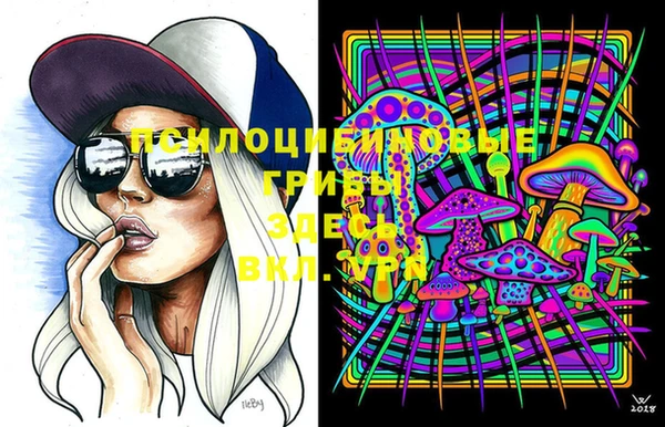 spice Арсеньев