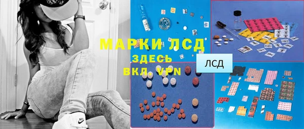 spice Арсеньев
