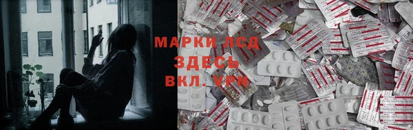 spice Арсеньев