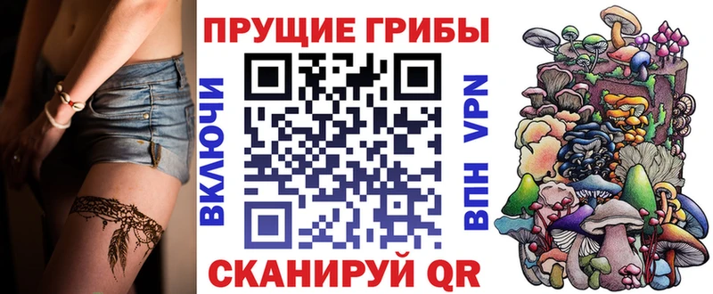MEGA онион  как найти   Белозерск  Псилоцибиновые грибы Psilocybine cubensis 
